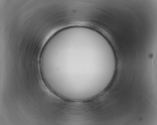 X0000112141283200908070931