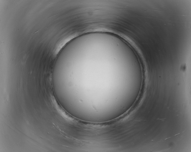 X0000112141289200908070931