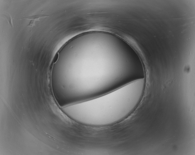 X0000112141292200908070931