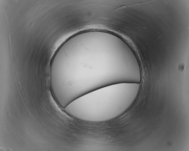 X0000112141295200908070931