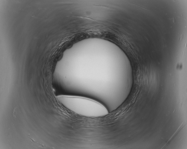 X0000112141297200908070930