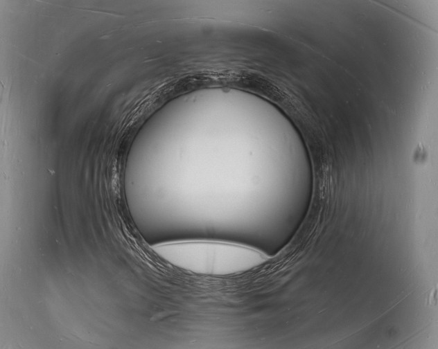 X0000112141298200908070930