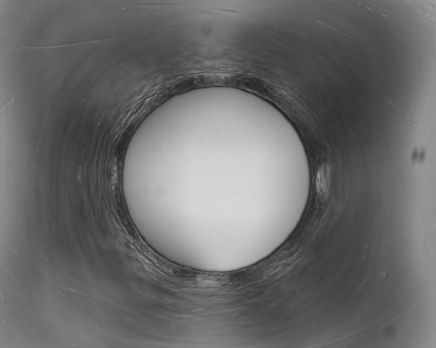 X0000112141299200908070930