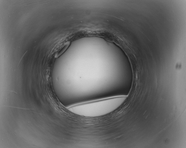 X0000112141300200908070930