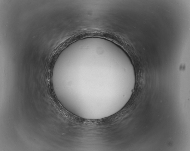 X0000112141301200908070930