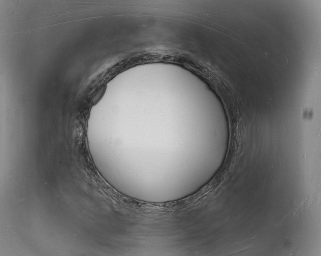 X0000112141302200908070930