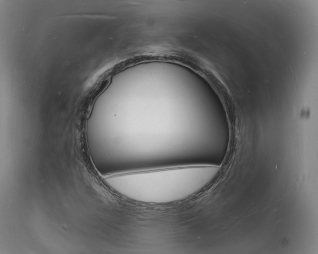 X0000112141304200908070930