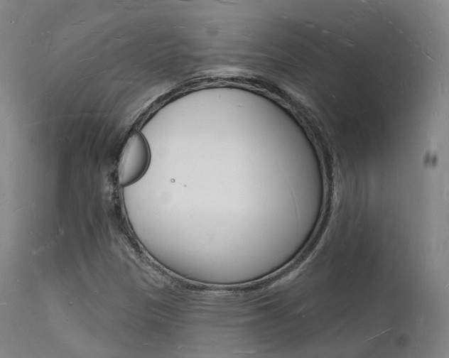 X0000112141305200908070930