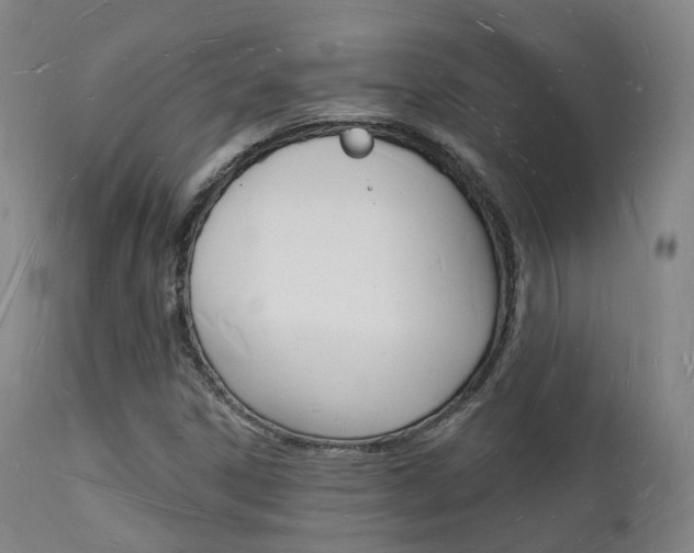 X0000112141306200908070930