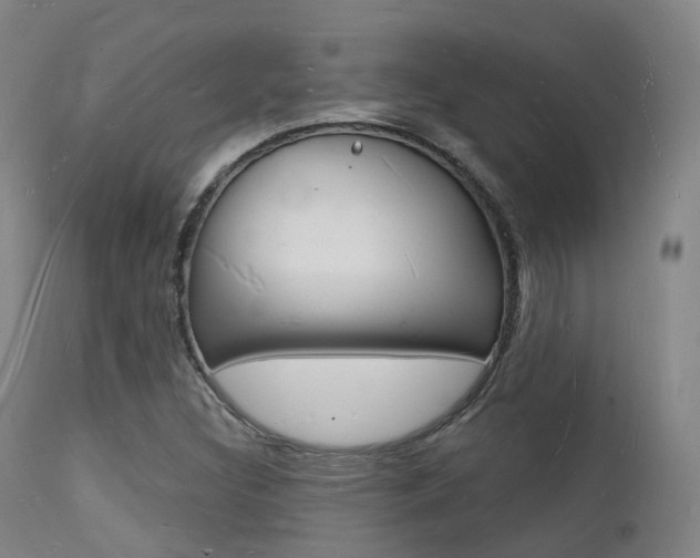 X0000112141308200908070930