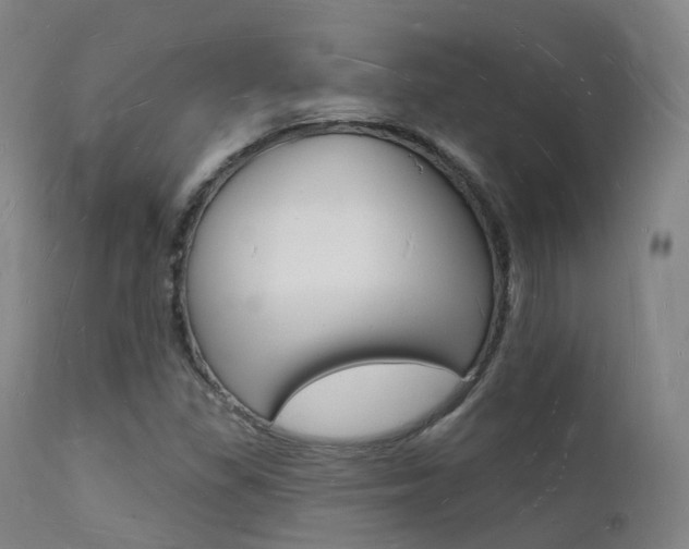 X0000112141309200908070930