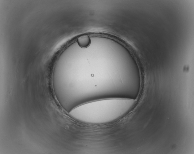 X0000112141311200908070930