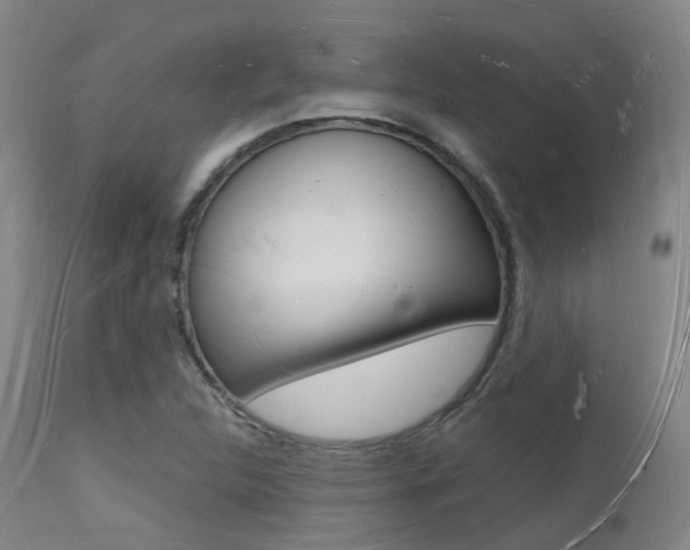 X0000112141312200908070930