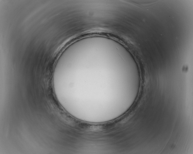 X0000112141313200908070930