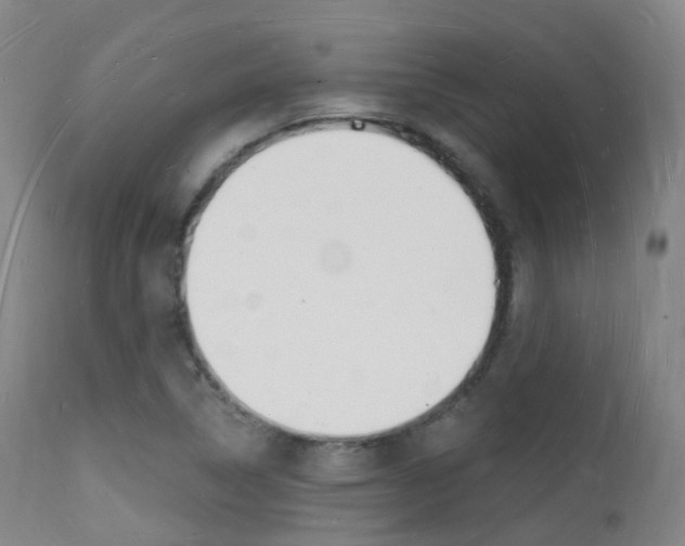 X0000112141314200908070930