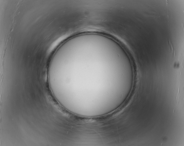 X0000112141317200908070930
