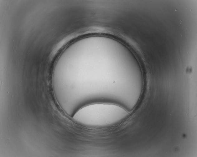 X0000112141318200908070930
