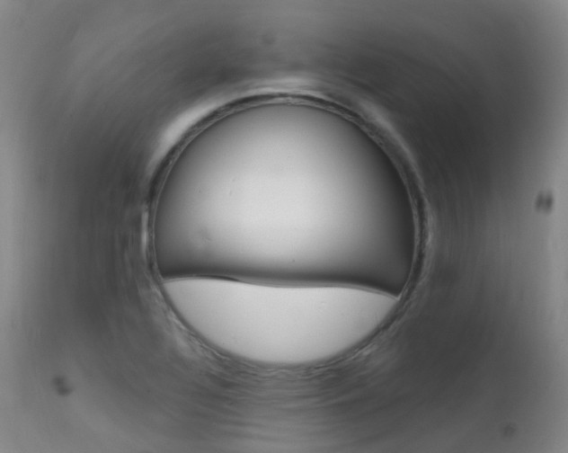 X0000112141320200908070930