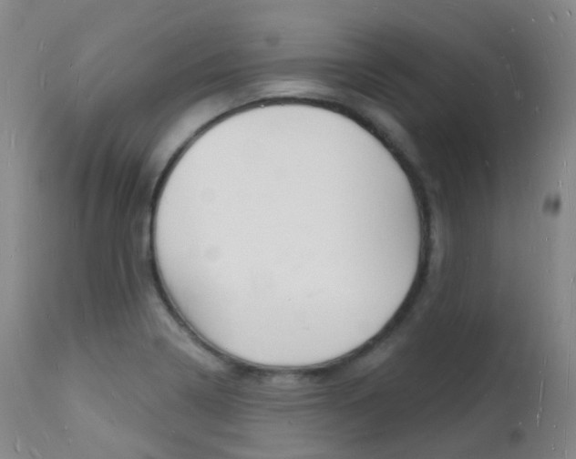 X0000112141322200908070930
