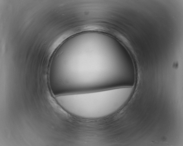 X0000112141330200908070930