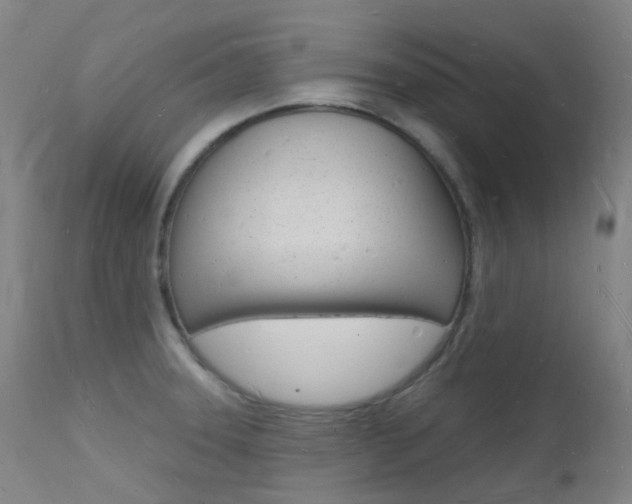 X0000112141331200908070930