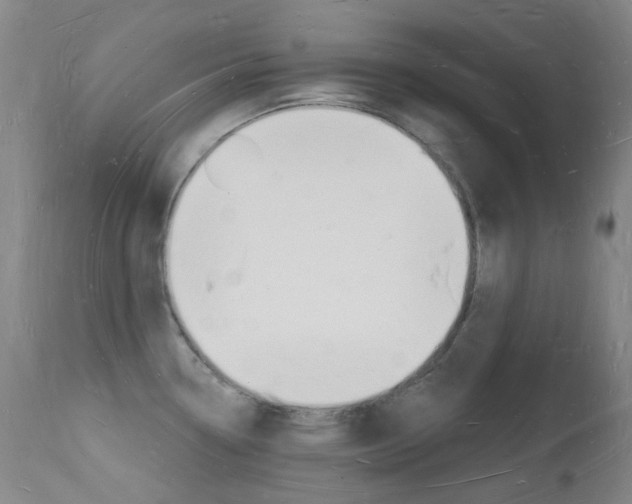 X0000112141338200908070930