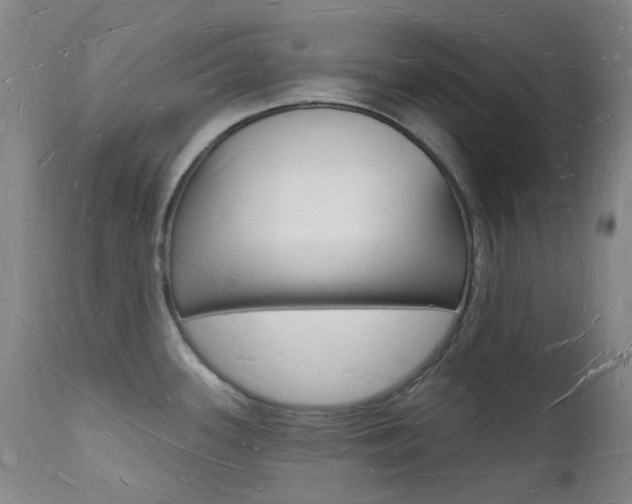 X0000112141339200908070930