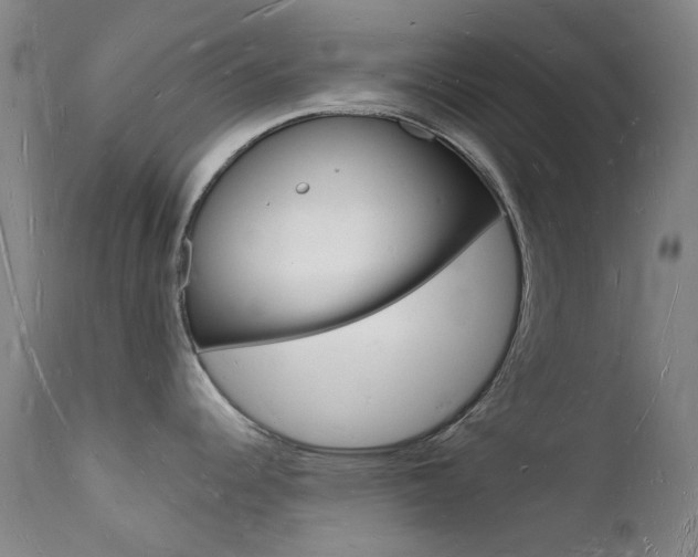 X0000112141344200908070930