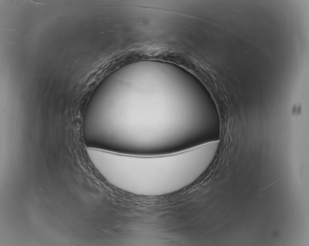 X0000112141349200908070930