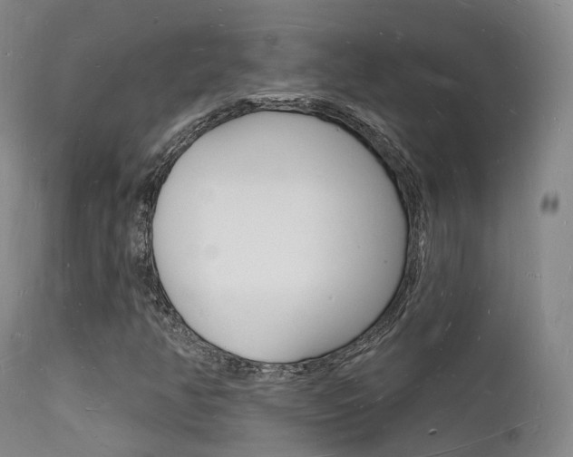 X0000112141350200908070930