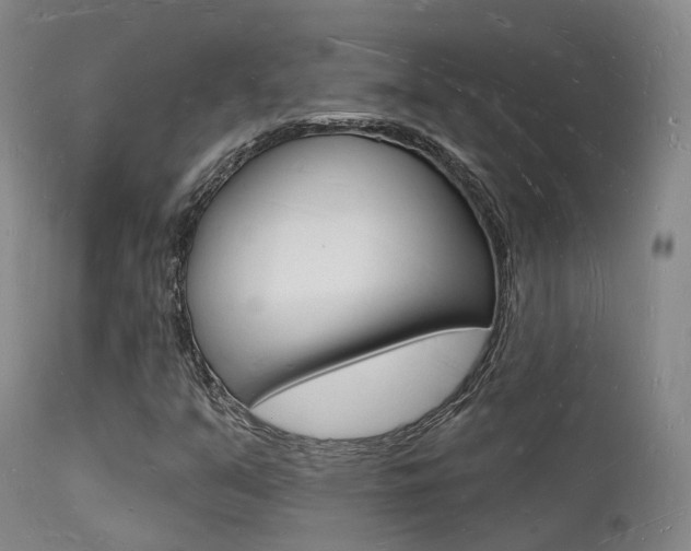X0000112141351200908070930