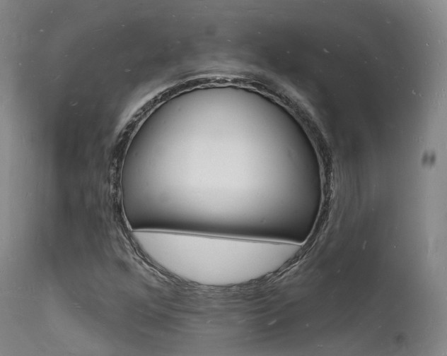 X0000112141352200908070930
