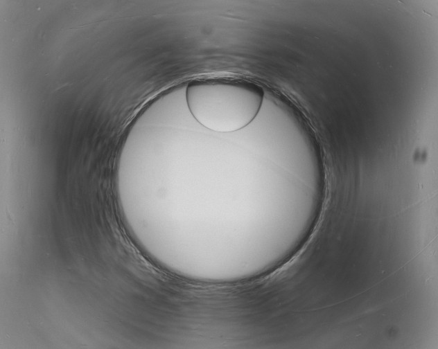 X0000112141353200908070930