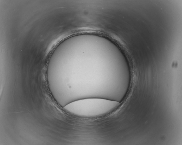 X0000112141357200908070929
