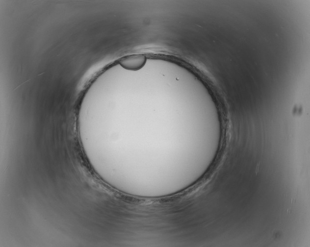 X0000112141358200908070929