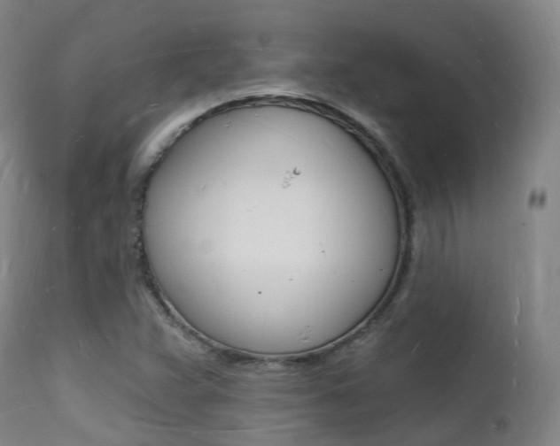 X0000112141359200908070929