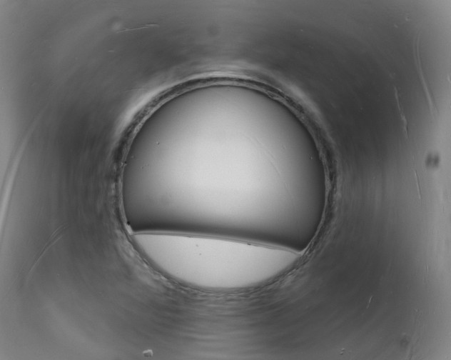 X0000112141360200908070929