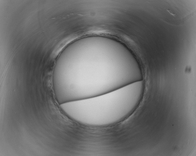 X0000112141361200908070929