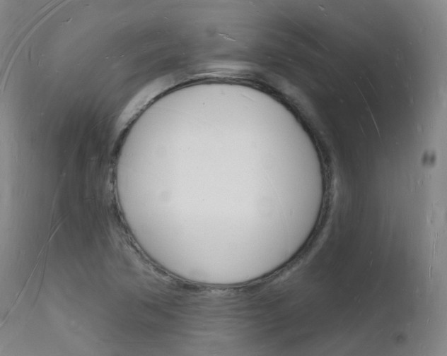 X0000112141362200908070929
