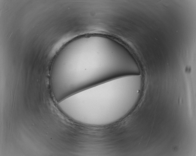 X0000112141363200908070929