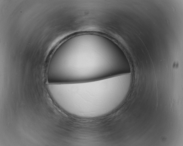 X0000112141364200908070929
