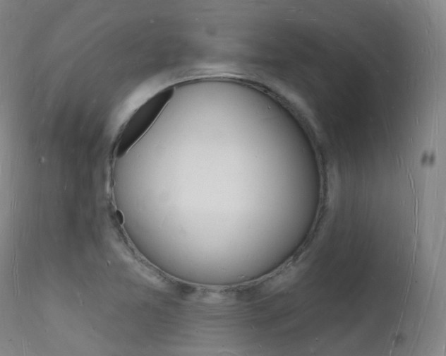 X0000112141365200908070929