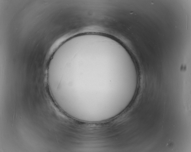 X0000112141366200908070929