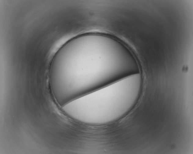 X0000112141367200908070929