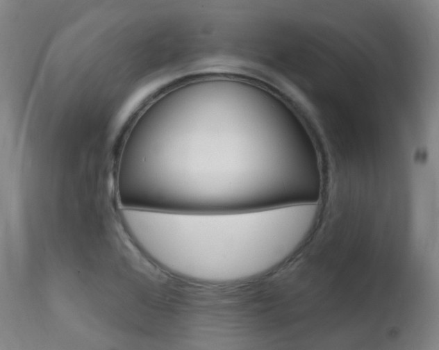 X0000112141368200908070929
