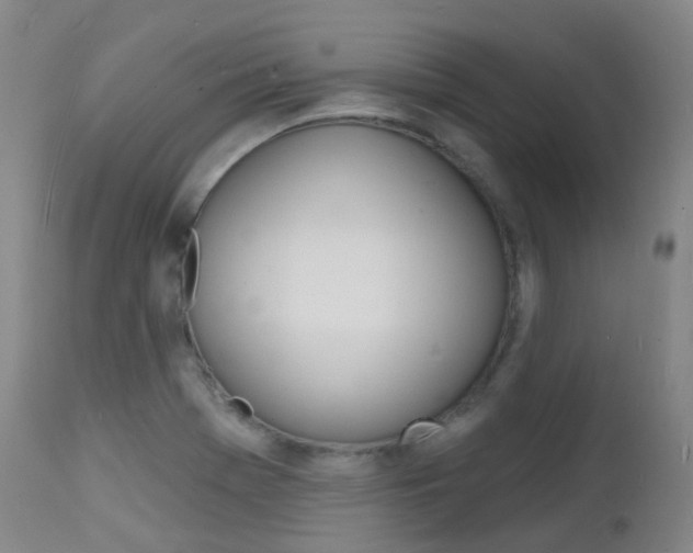 X0000112141369200908070929