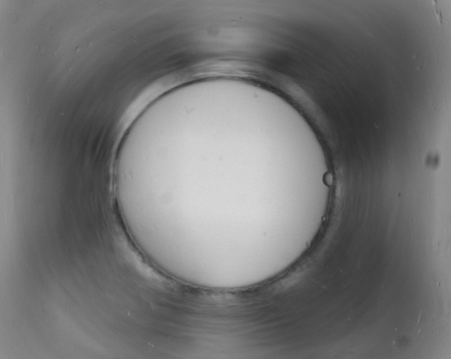 X0000112141370200908070929