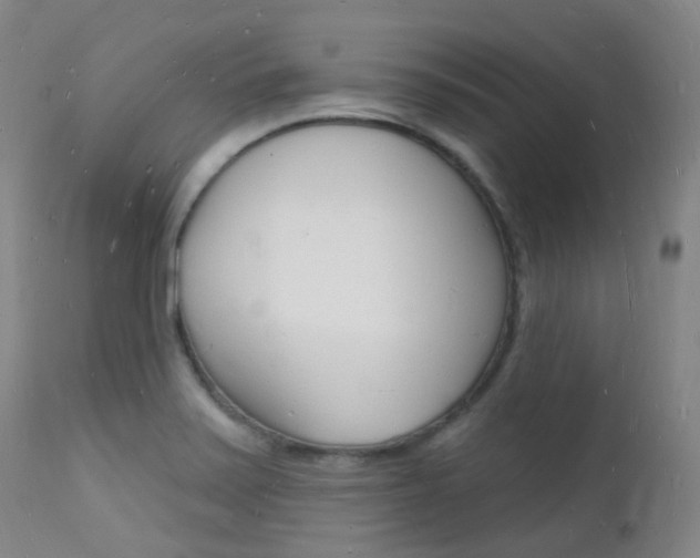X0000112141371200908070929
