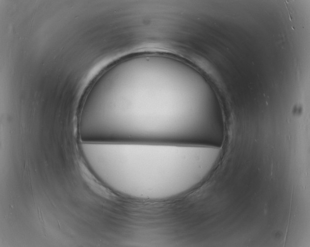 X0000112141372200908070929