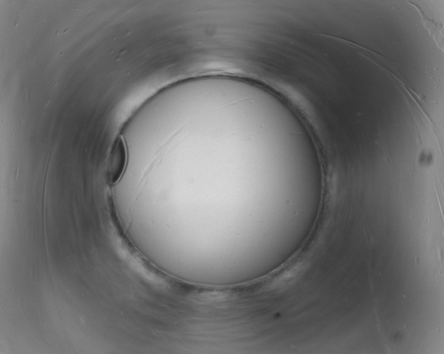 X0000112141373200908070929